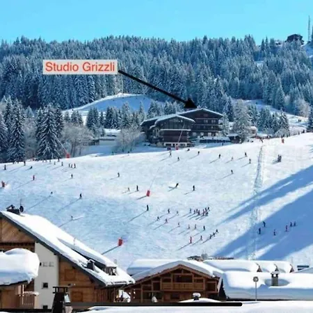 Aux Pieds Vue Superbe Sur Les Pistes