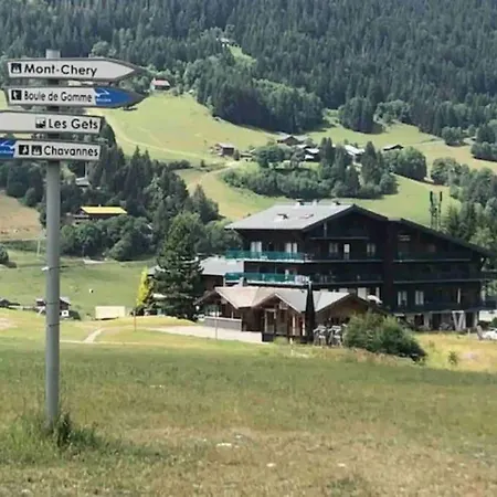 Aux Pieds Vue Superbe Sur Les Pistes Апартаменты Ле-Гет