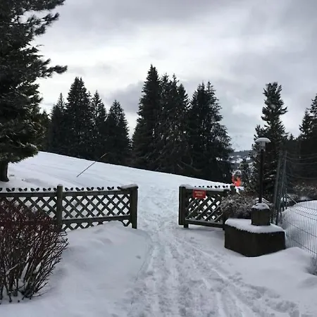 Aux Pieds Vue Superbe Sur Les Pistes *